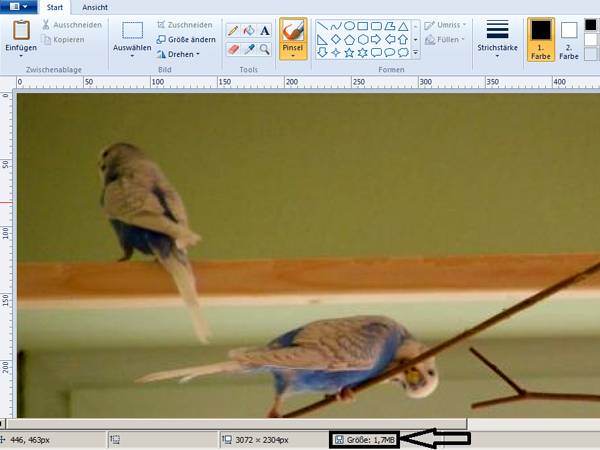 Bildbearbeitung mit Windows Paint 2