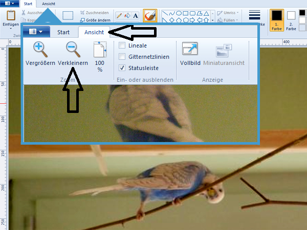 Bildbearbeitung mit Windows Paint 3