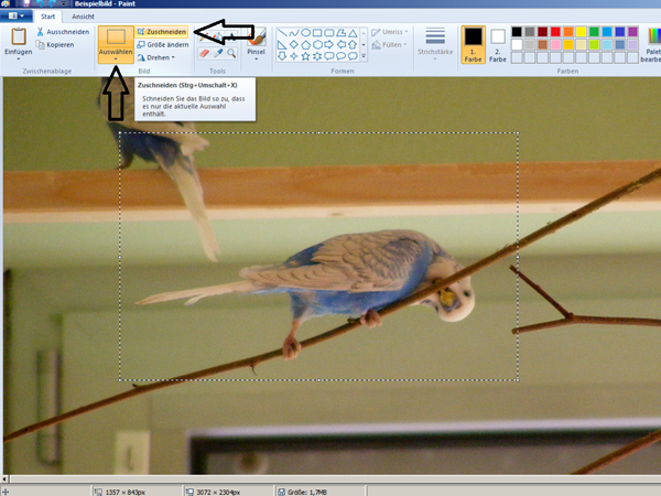 Bildbearbeitung mit Windows Paint 4 />

<h2>Verkleinern</h2>

<p>Um das Bild nun in eine internettaugliche Größe zu bringen, klickt man in der linken oberen Ecke auf <i>Größe ändern</i>.</p>

<img src=