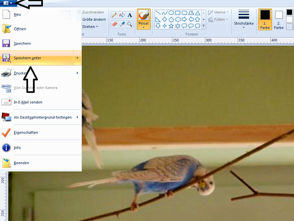 Bildbearbeitung mit Windows Paint 7