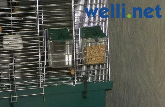 gefährliche Futternäpfe für Wellensittiche