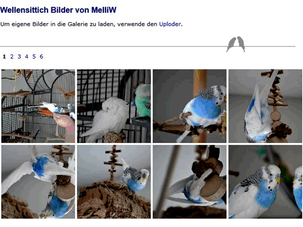 Anleitung Bildergalerie 6