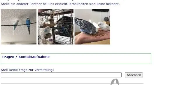 Kontaktaufnahme