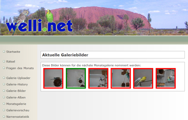 Auswahl an Fotos für die Monatsgalerie