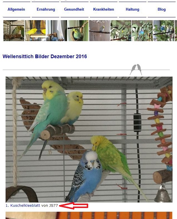 Fotos aus Monatsgalerie