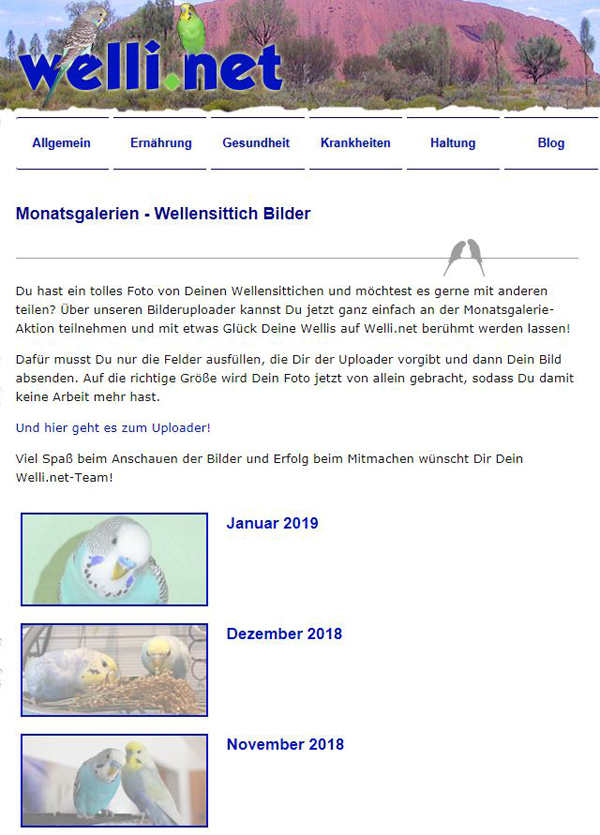 Übersicht Monatsgalerien