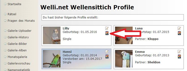 Wellensittich-Profil Bilder zuweisen