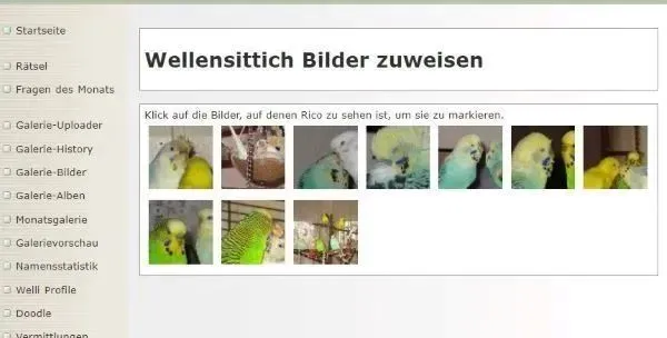 Welliprofile verknuepfen