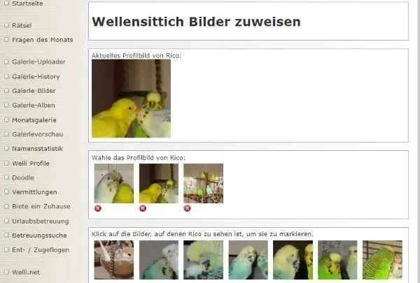 Welliprofile verknuepfen