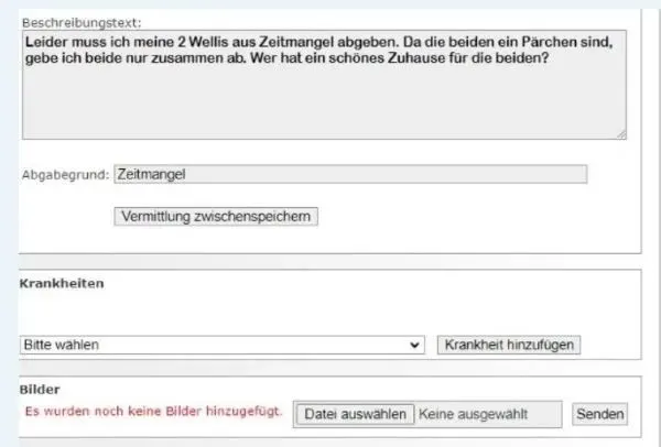 Bilder in Vermittlungsanzeige einfügen