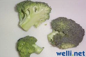 Brokkoli - Brassica olerace