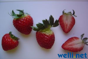 Erdbeere - Fragaria