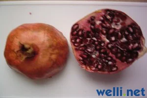 Granatapfel - Punica granatum