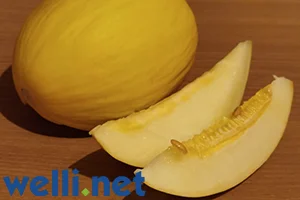 Honigmelone - Cucumis melo