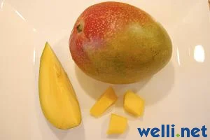 Mango - Mangifera indica