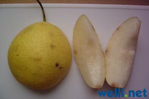 Nashi / Japanische Birne / Apfelbirne - Pyrus pyrifolia