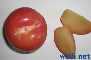 Pflaume - Prunus domestica