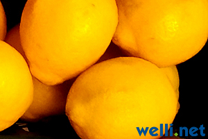 Zitrone - Citrus limonum