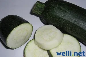 Zucchini - Cucurbita pepo