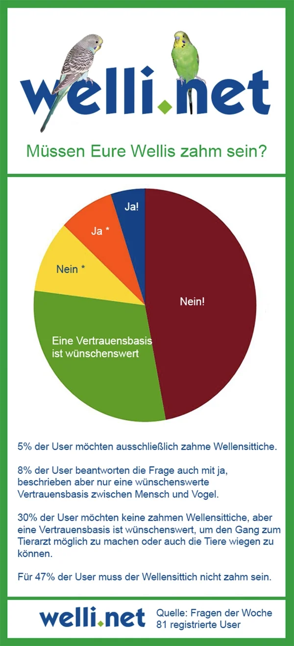 Wellensittich-Bild: Wir wollten von unseren Usern wissen, ob ihre Wellensittiche für sie zahm sein müssen. Für die meisten User ist es allerdings ok, wenn ihre Wellensittiche einfach Wellensittiche sind.