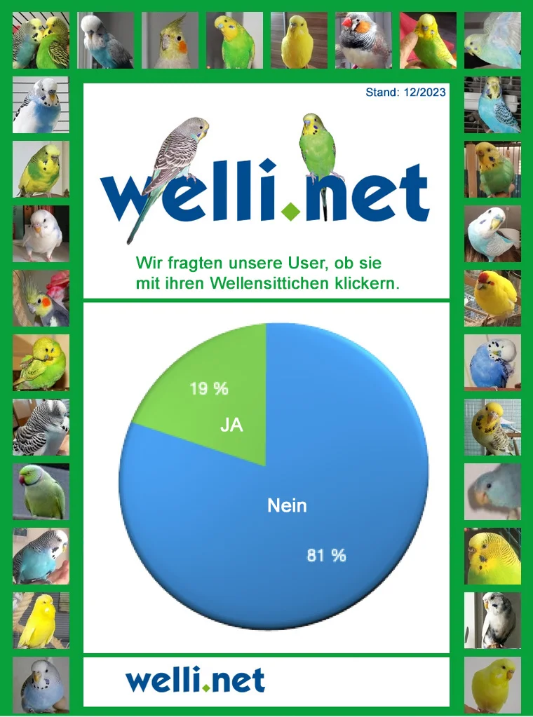 Wellensittich-Bild: Wir haben Euch im Dezember gefragt, ob ihr mit Euren Wellensittichen klickert? Als Begründung für ein Ja wurde meistens genannt, dass es mit dieser Fertigkeit einfacher ist, die Sittiche zum Tierarzt einzupacken. 19% antworteten mit Ja und 81 antworteten mit Nein. Auch die Antworten, dass man dieses vorhätte oder es schon auf der Todo-Liste steht, wurden als Nein geantwortet. Mal schauen ob die Ja-Stimmen bei der nächsten Umfrage mehr werden.