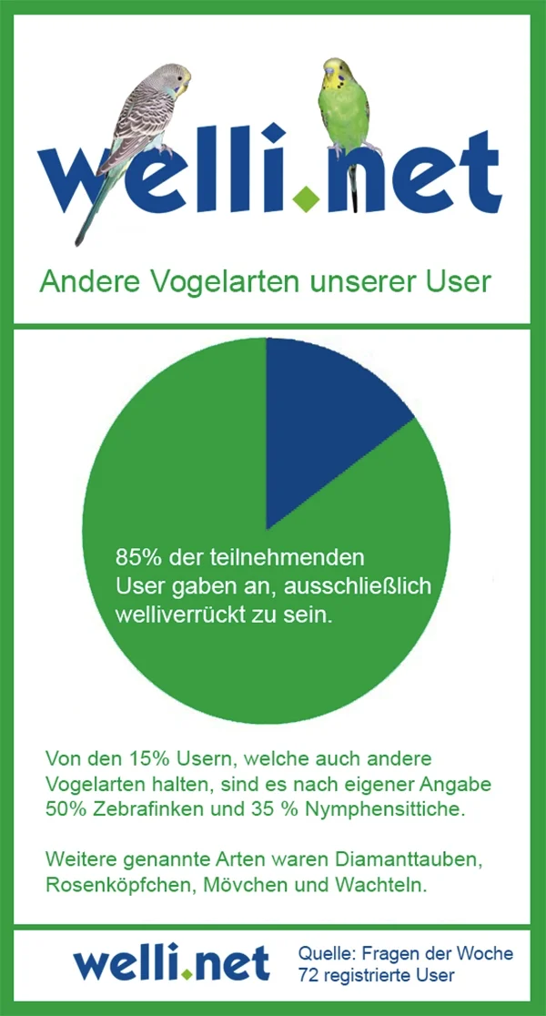 Wellensittich-Bild: Wir haben unsere User in den Fragen der Woche gefragt, welche anderen Vogelarten sie noch halten.
