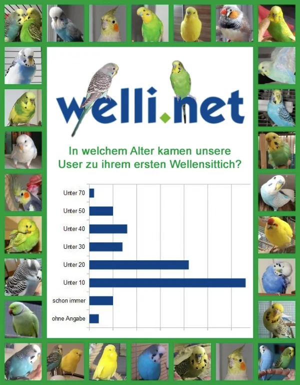 Wellensittich-Bild: Wir haben unsere User gefragt in welchen Alter sie zu ihrem ersten Wellensittich kamen.