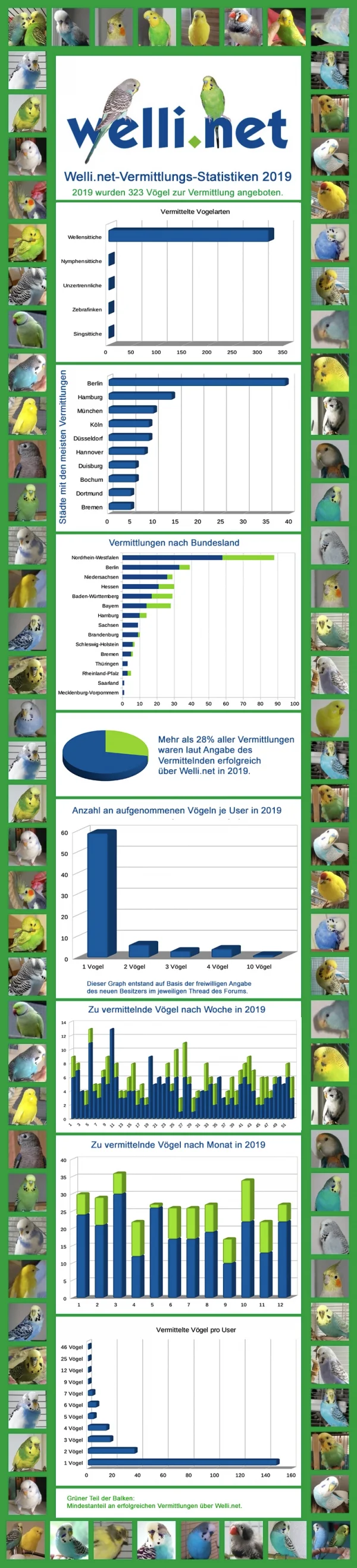 Wellensittich-Bild: Die von Einigen langersehnte Vermittlungsstatistik für 2019 ist fertig.

2019 wurden im Vergleich mit 2018 weniger andere Vogelarten vermittelt, dafür mehr Wellensittiche. Die Anzahl der nachweislich über Welli.net vermittelten Vögel ist von 35% auf 28% gesunken, jedoch ist dies eine sehr relative Zahl, die auch auf fehlende Daten zurückzuführen ist, weil vermittelnde User keinen Rückschluss auf den neuen Besitzer gegeben haben.