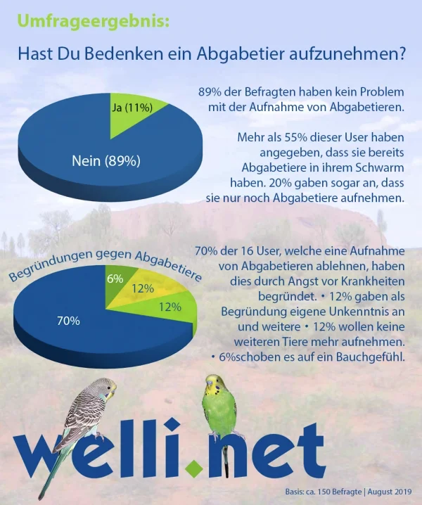 Wellensittich-Bild: 89% der befragten User hatten kein Problem damit ein Abgabetier aufzunehmen. 70% der restlichen 16 User haben als Begründung abgegeben, dass sie Angst vor Krankheiten hätten.

[Ein User fiel aus der Statistik, da er angegeben hat, dass er keine Abgabetiere aufnimmt, sondern lediglich Wellensittiche.]

Krankheiten können jedoch genauso wahrscheinlich schon vom Züchter kommen. Eine Quarantäne und ein Eingangscheck sollten grundsätzlich gemacht werden, damit der restliche Schwarm nicht gefährdet wird und eventuell tödlichen Krankheiten ausgesetzt wird.