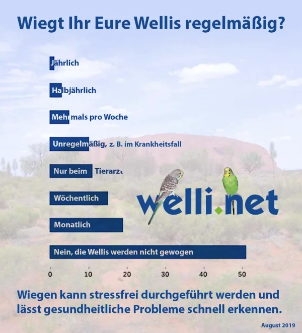 Wellensittich-Bild: Tipps und Tricks zum Wiegen findest Du hier: <a href=