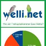 Statistik zum Freiflug