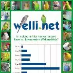 Statistik zum Alter beim ersten Wellensittich