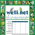 Welli.net Vermittlungsstatistik 2018