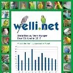 Statistik zu Vermittlungen des Jahres 2017
