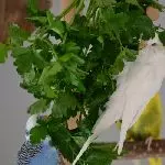 Petersilienbad