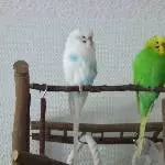 gemeinsames knuspern