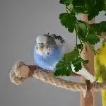 Tropfen von oben