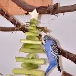 Jerry entert den Baum