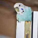 Hallo, da unten