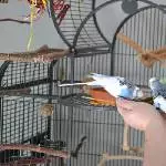 doch nicht so böse die Hand