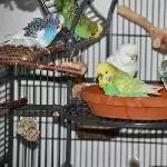 Badetag bei Mellis Wellis