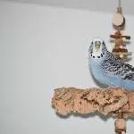 Nicos erster Ausflug