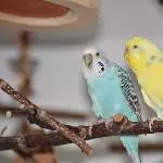 Emma und Sheldon - ganz neu bei uns