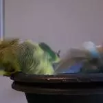 Badezeit