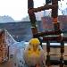Archimedes - abendliches Ritual zum dritten