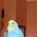 Archimedes