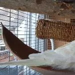 Mary-Jane chillt