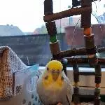 Archimedes - abendliches Ritual zum dritten