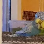 Abendliches Kuscheln