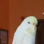 Mary-Jane die Ruhige